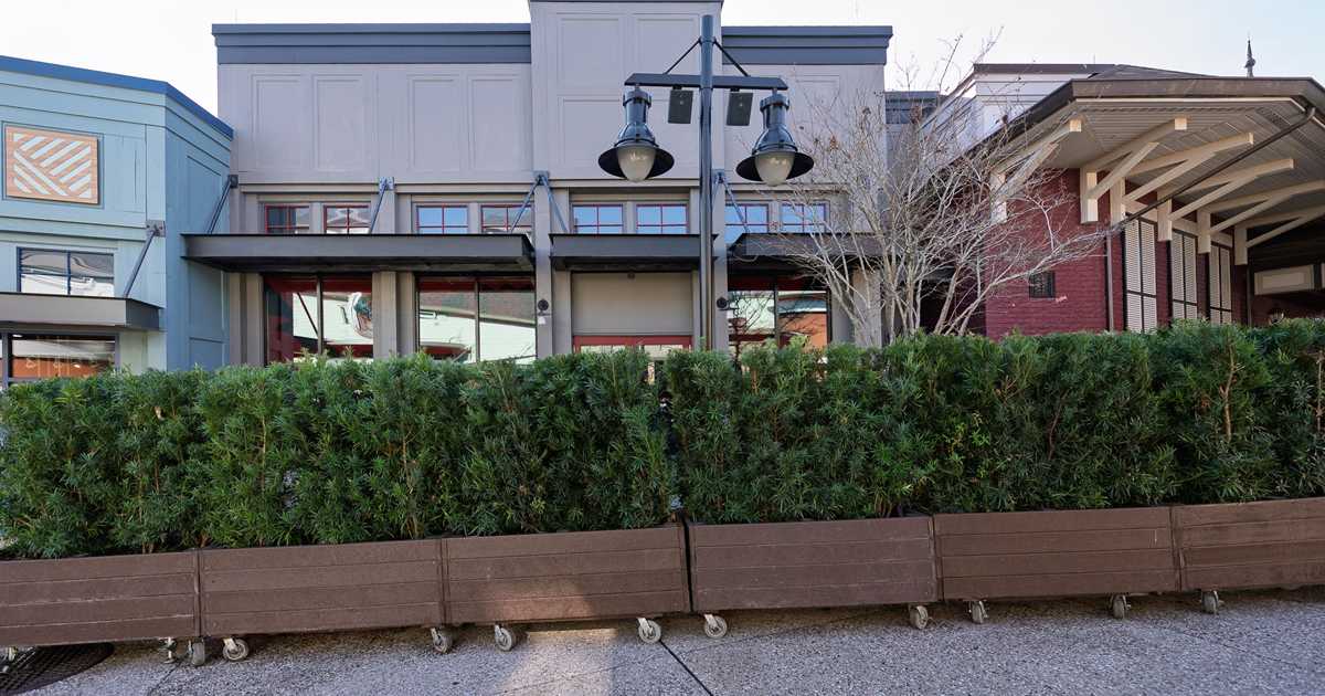 Six Ravens Construction Progress at Disney Springs