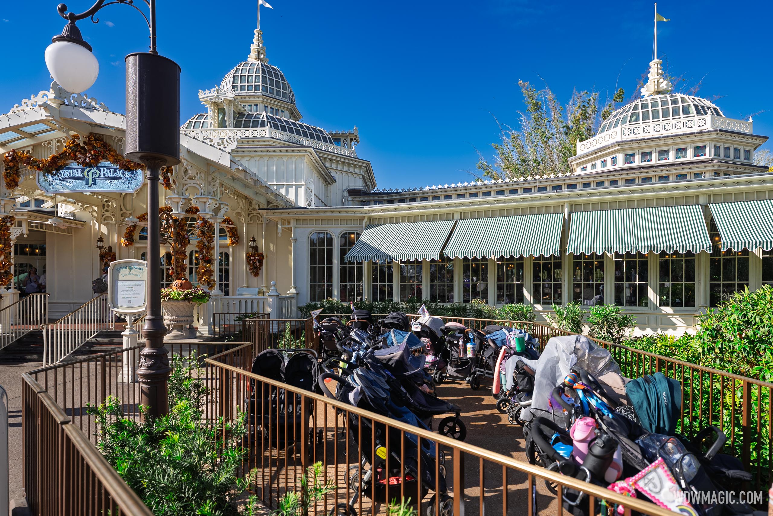 www.wdwmagic.com