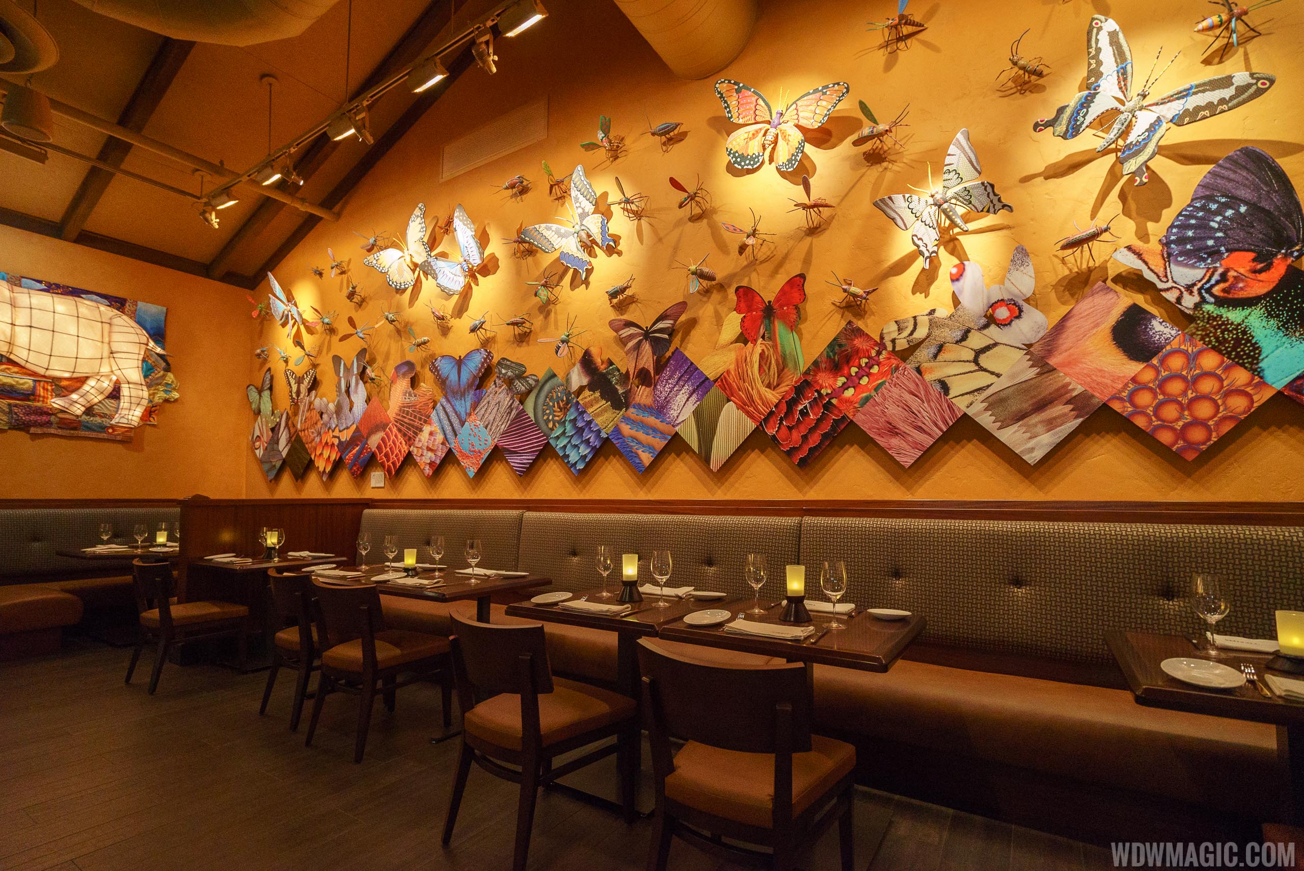 REVIEW Tiffins at Disney's Animal Kingdom