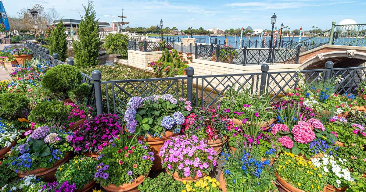 2020 Epcot International Flower and Garden Festival ...
