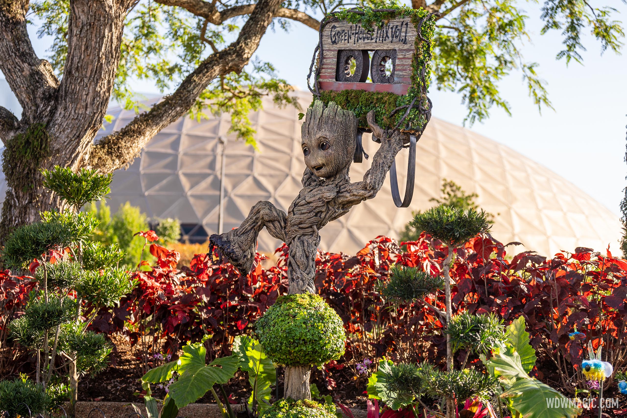 Watch Disney install the new Guardians of the Galaxy topiary for the