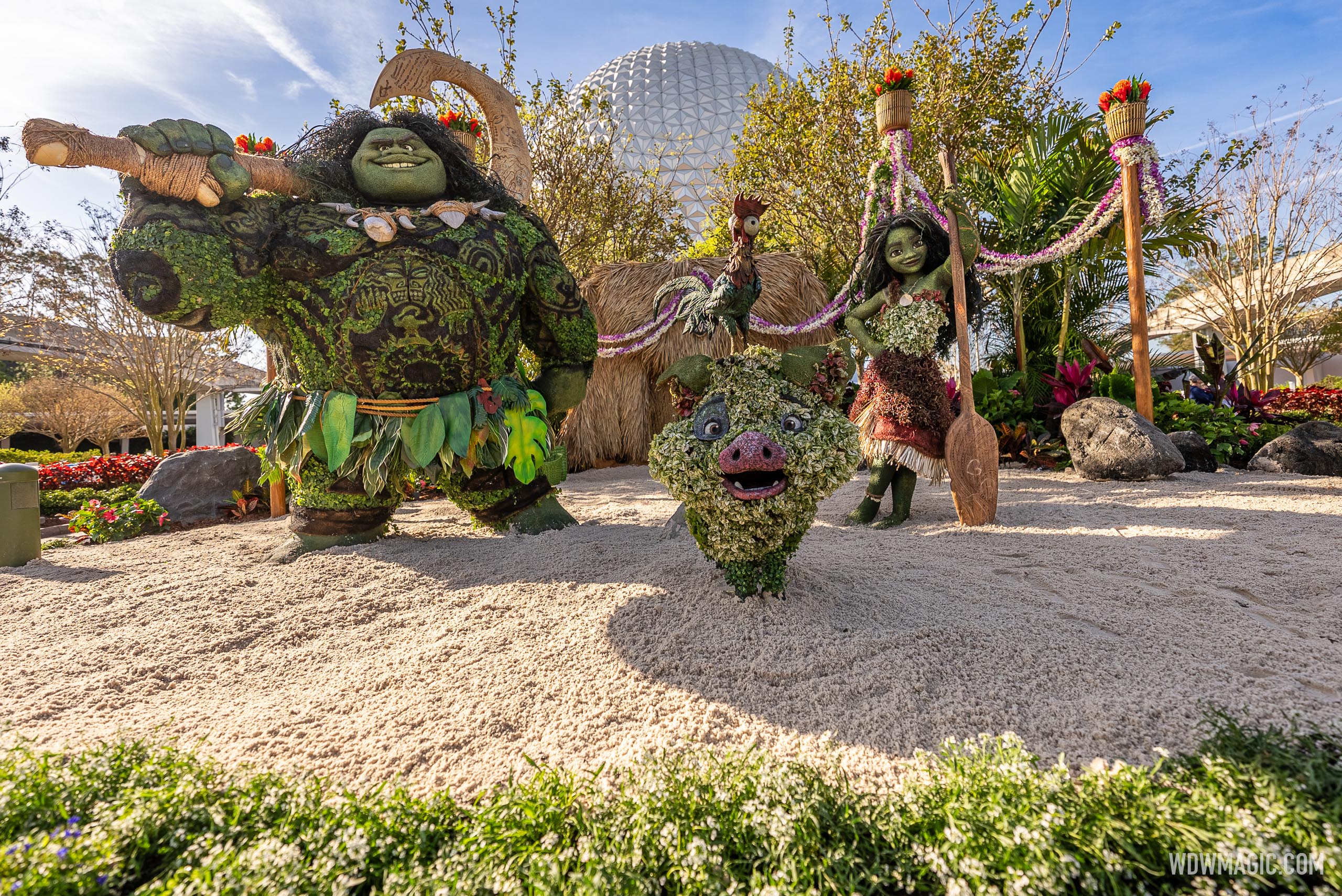 www.wdwmagic.com