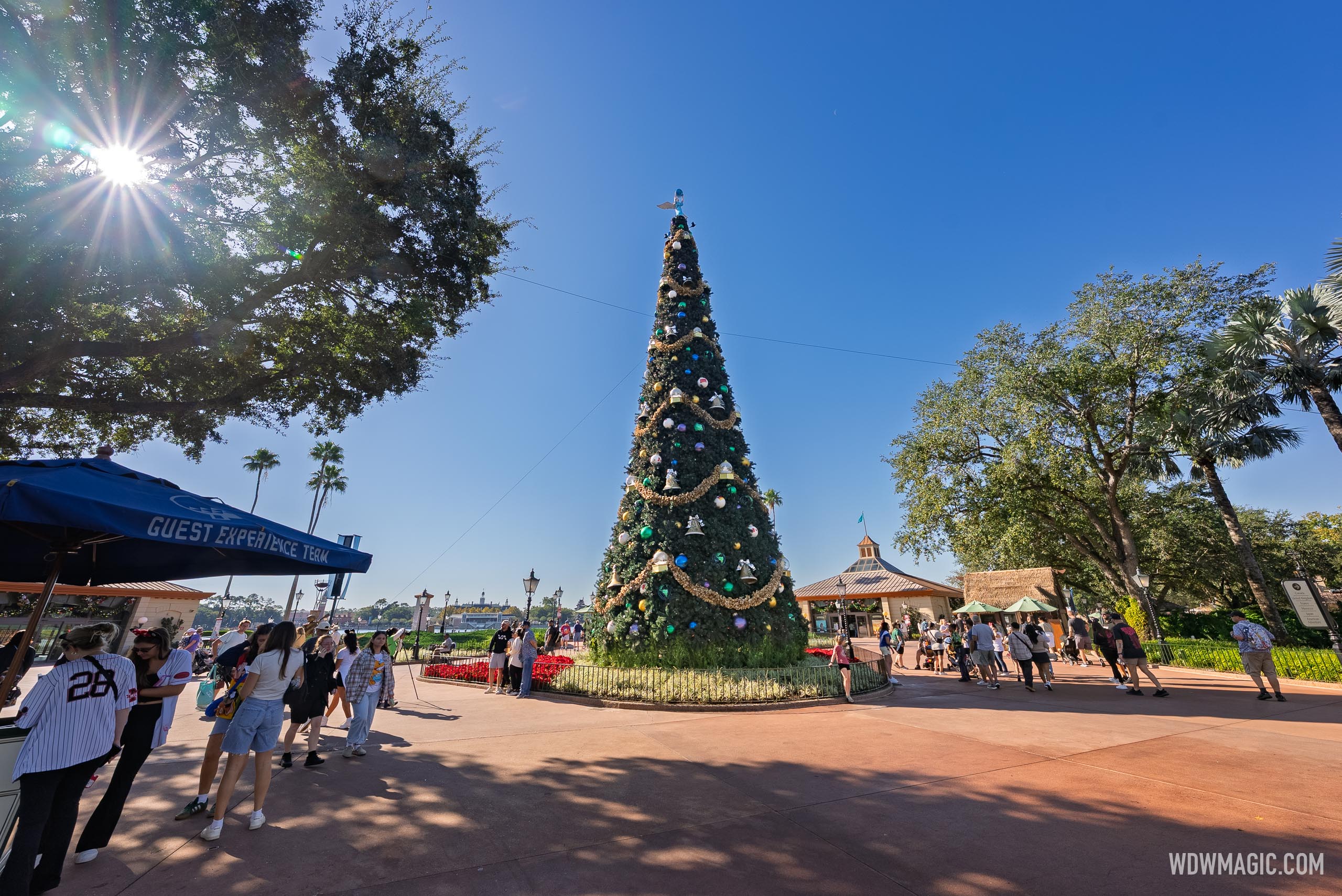 EPCOT 2025 Christmas Tree Arrival - Photo 2 of 3