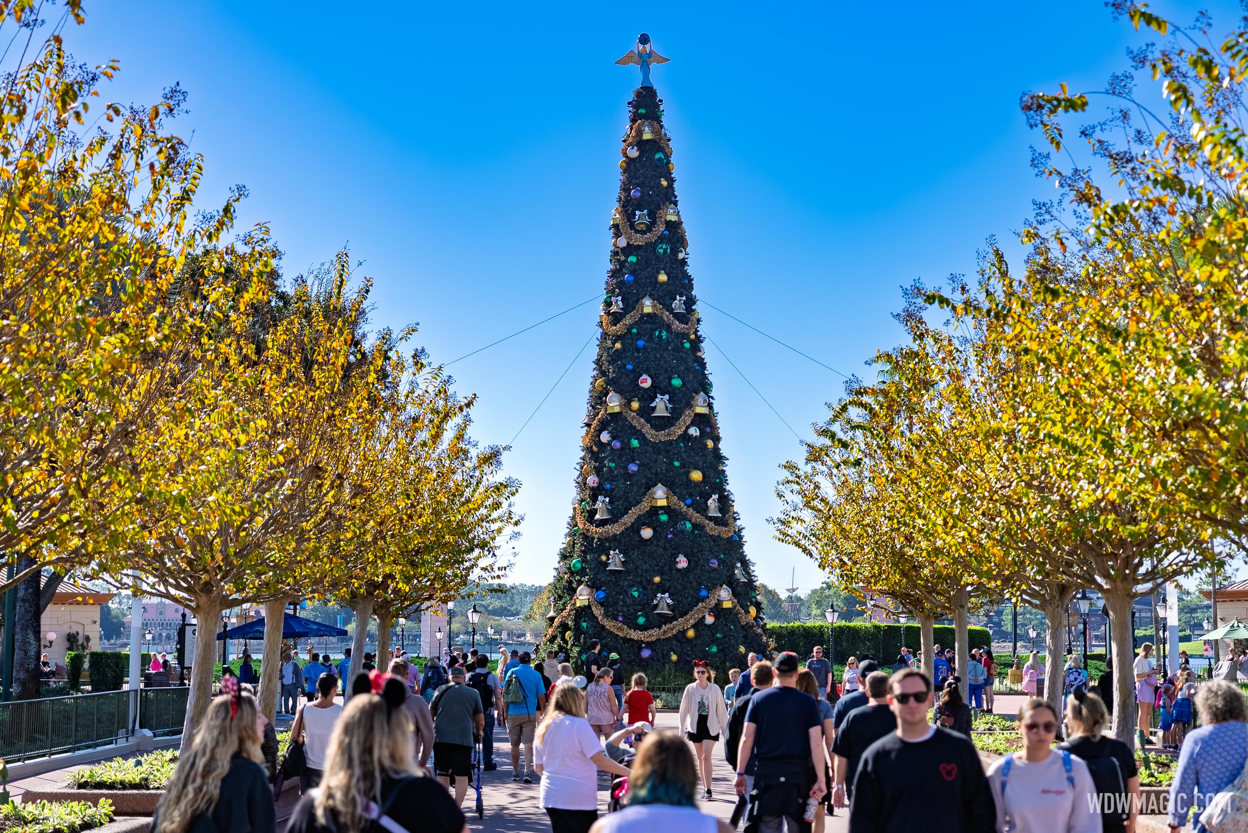 EPCOT 2025 Christmas Tree Arrival - Photo 3 of 3