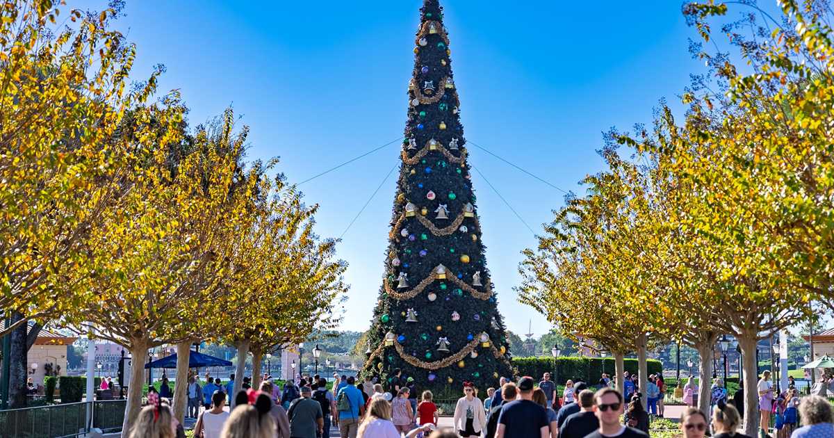 EPCOT 2025 Christmas Tree Arrival - Photo 3 of 3