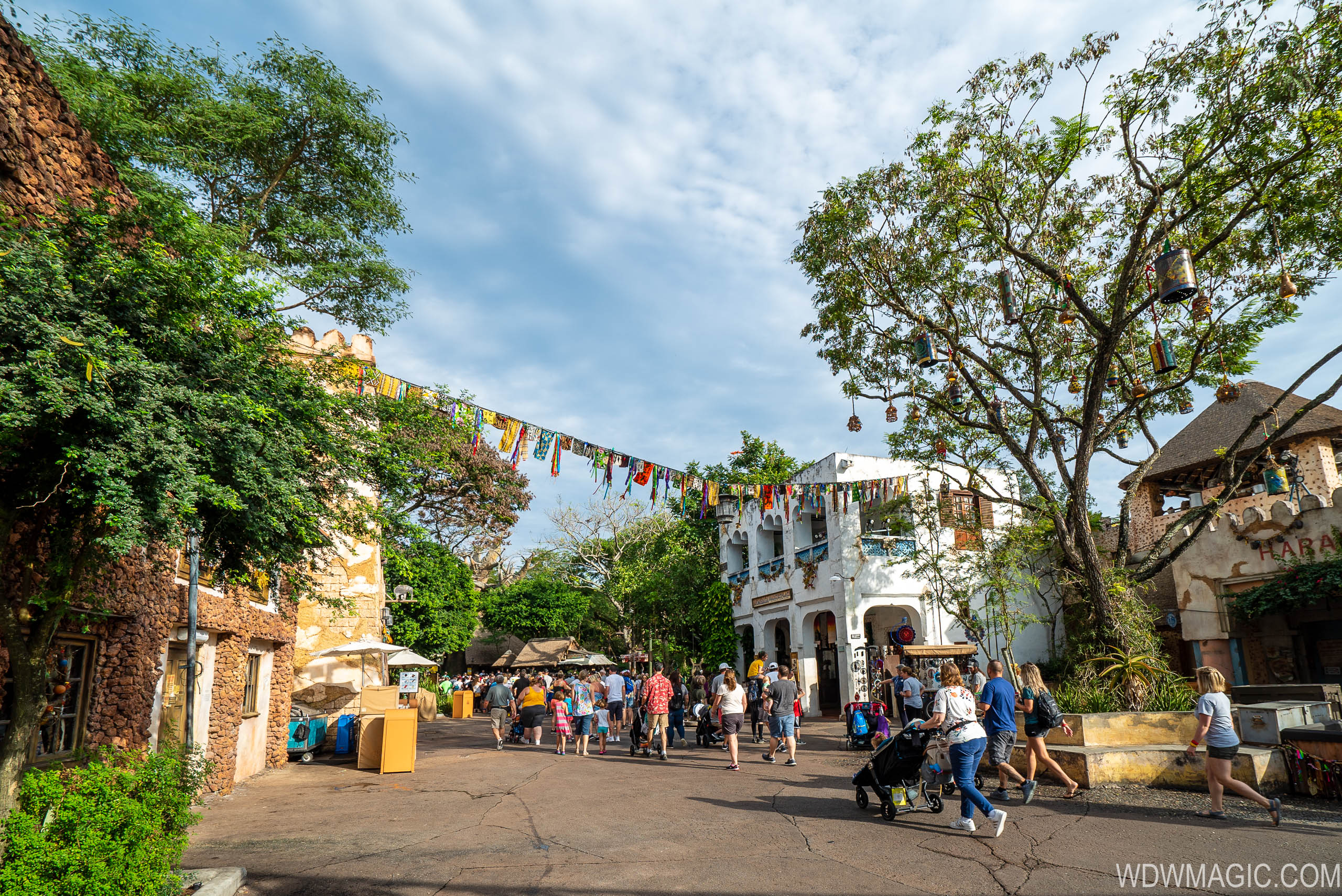 Disney's Animal Kingdom Christmas Holiday decor 2019 - Photo 12 of 35