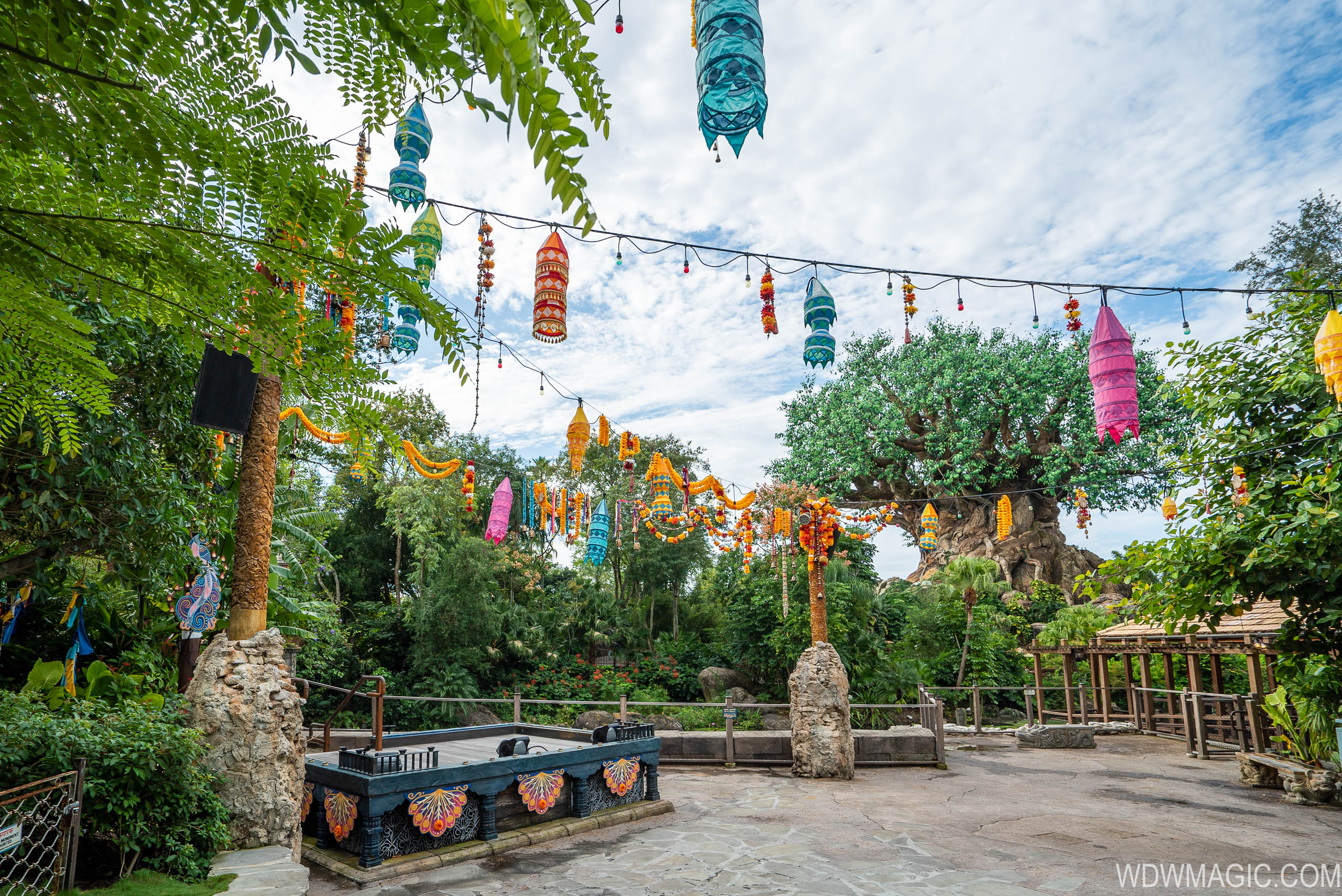 Disney's Animal Kingdom Christmas Holiday decor 2019 - Photo 21 of 35