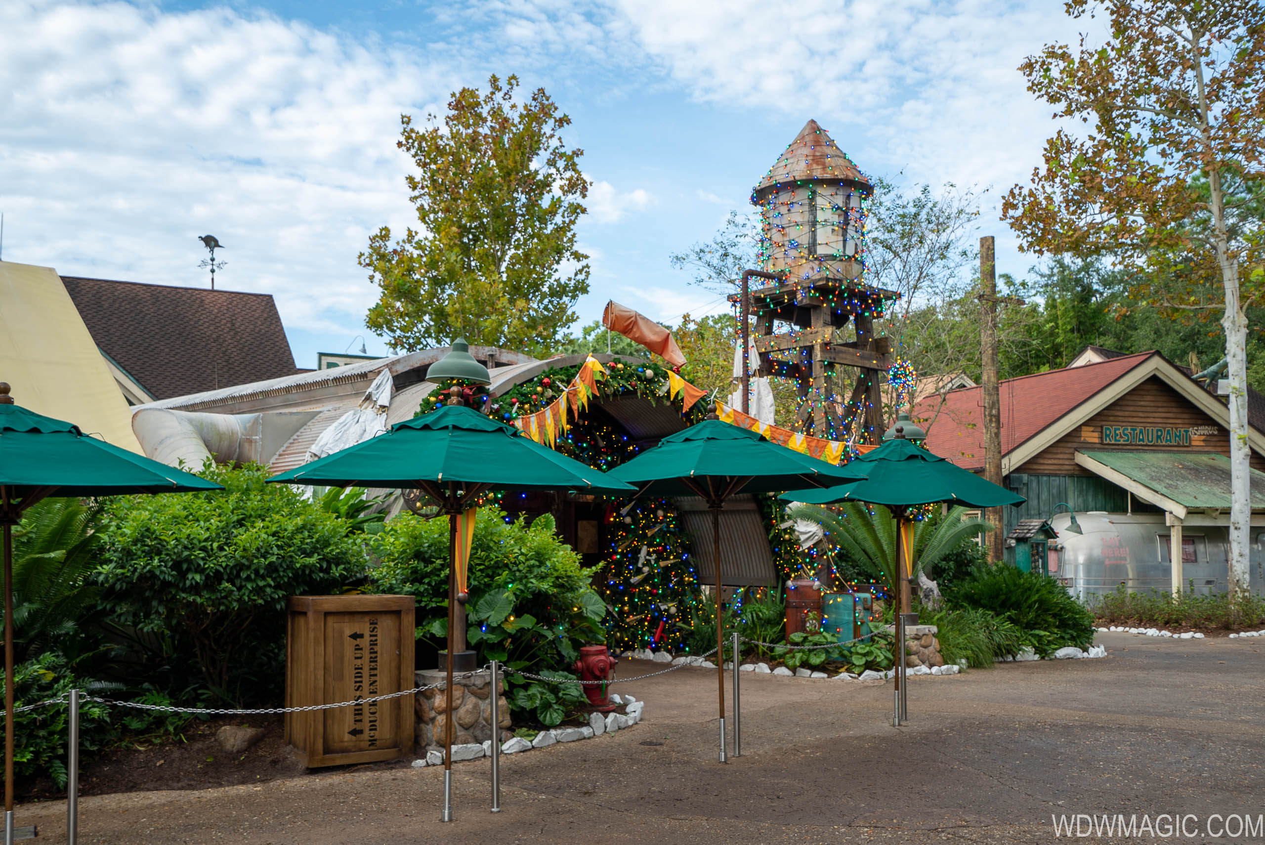 Disney's Animal Kingdom Christmas Holiday decor 2019 - Photo 23 of 35