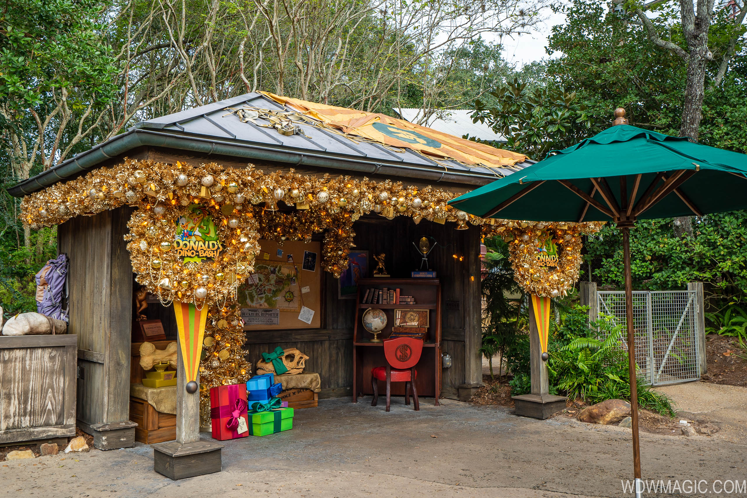 Disney's Animal Kingdom Christmas Holiday decor 2019 - Photo 25 of 35