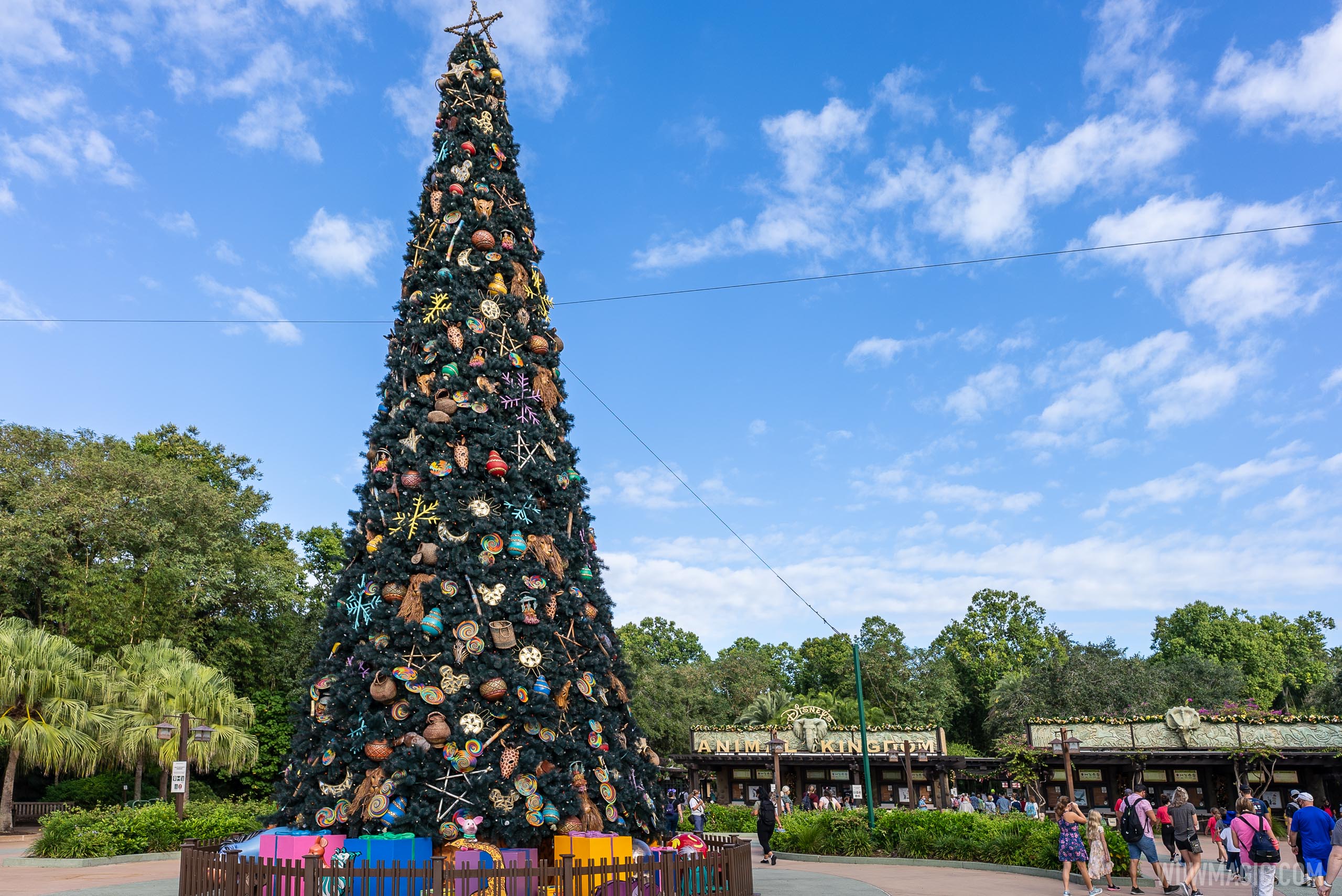 Disney's Animal Kingdom Christmas Holiday decor 2020 Photo 6 of 46