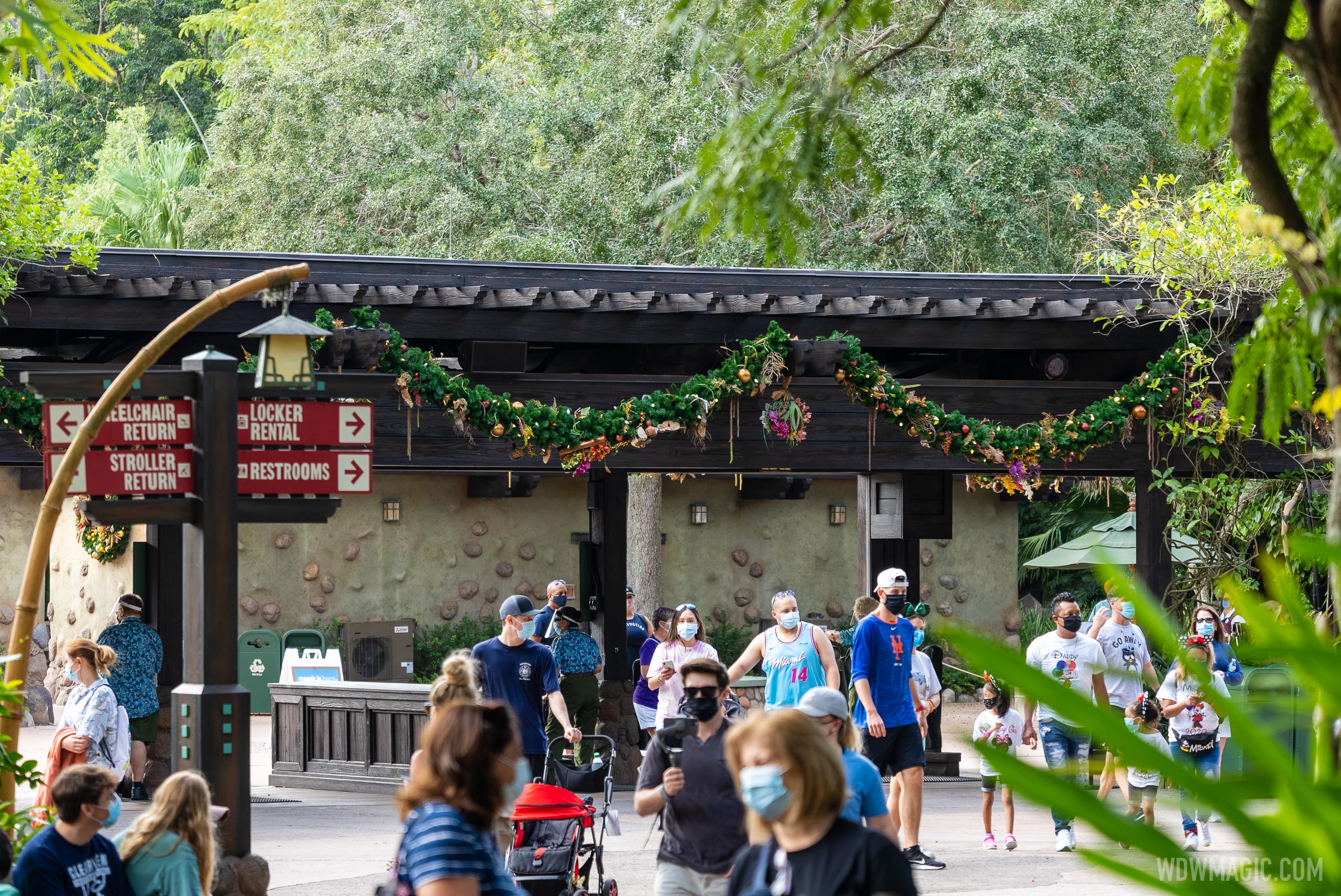 Disney's Animal Kingdom Christmas Holiday decor 2020 - Photo 45 of 46
