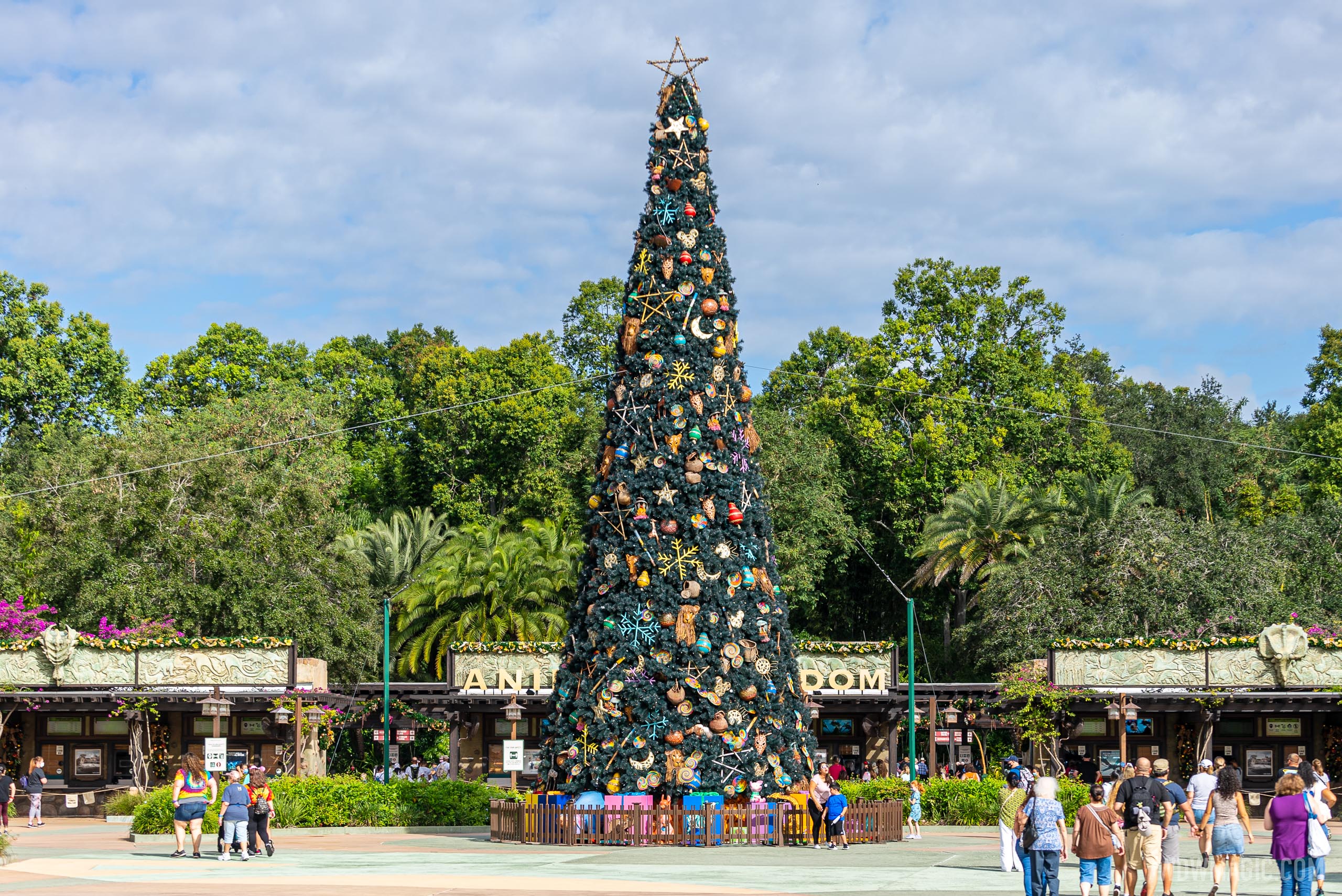 Disney's Animal Kingdom Christmas Holiday decor 2020 - Photo 2 of 46