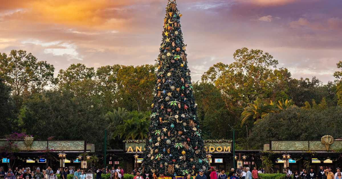 Disney's Animal Kingdom Christmas Holiday decor 2022 - Photo 1 of 15