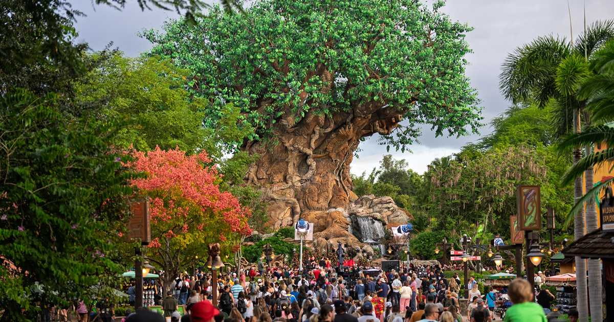 Mariah the Scientist Records Performance at Disney's Animal Kingdom for ABC Holiday Special