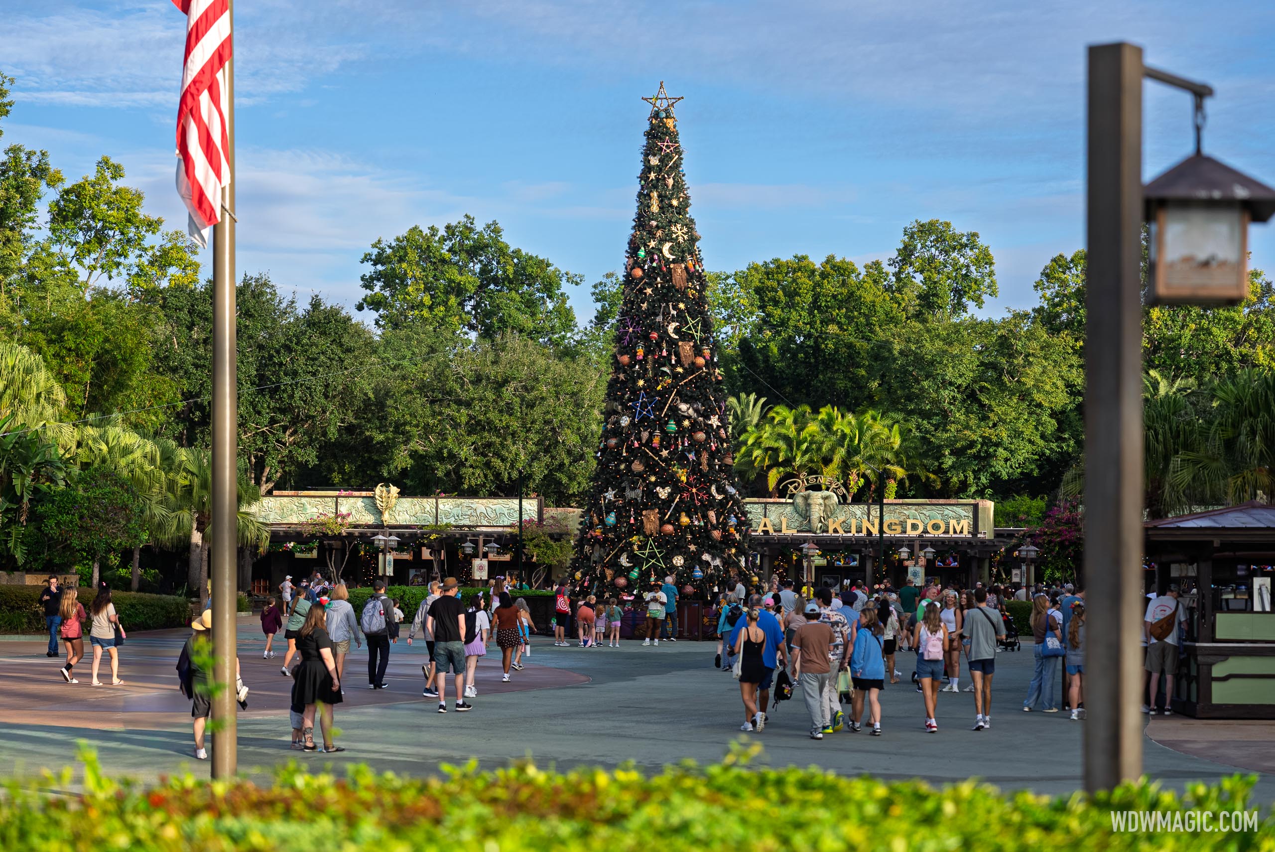 Christmas Tree Installed - Disney's Animal Kingdom Now Fully Decorated for the Holidays