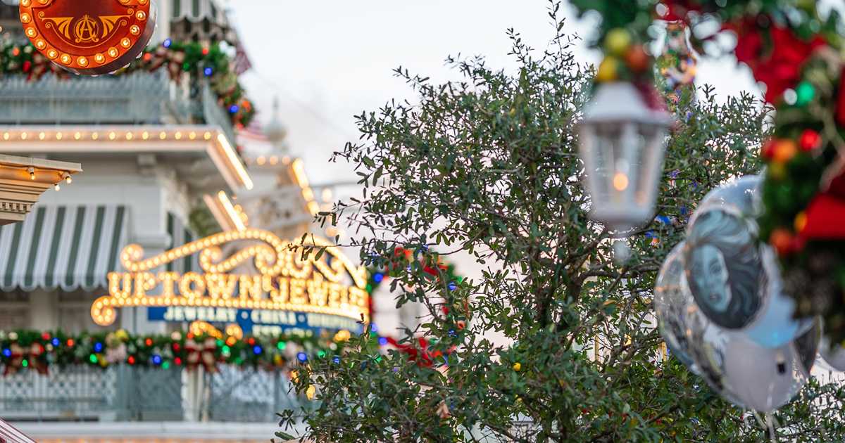 2024 Magic Kingdom Holiday Decor and Christmas Tree Photo 2 of 17