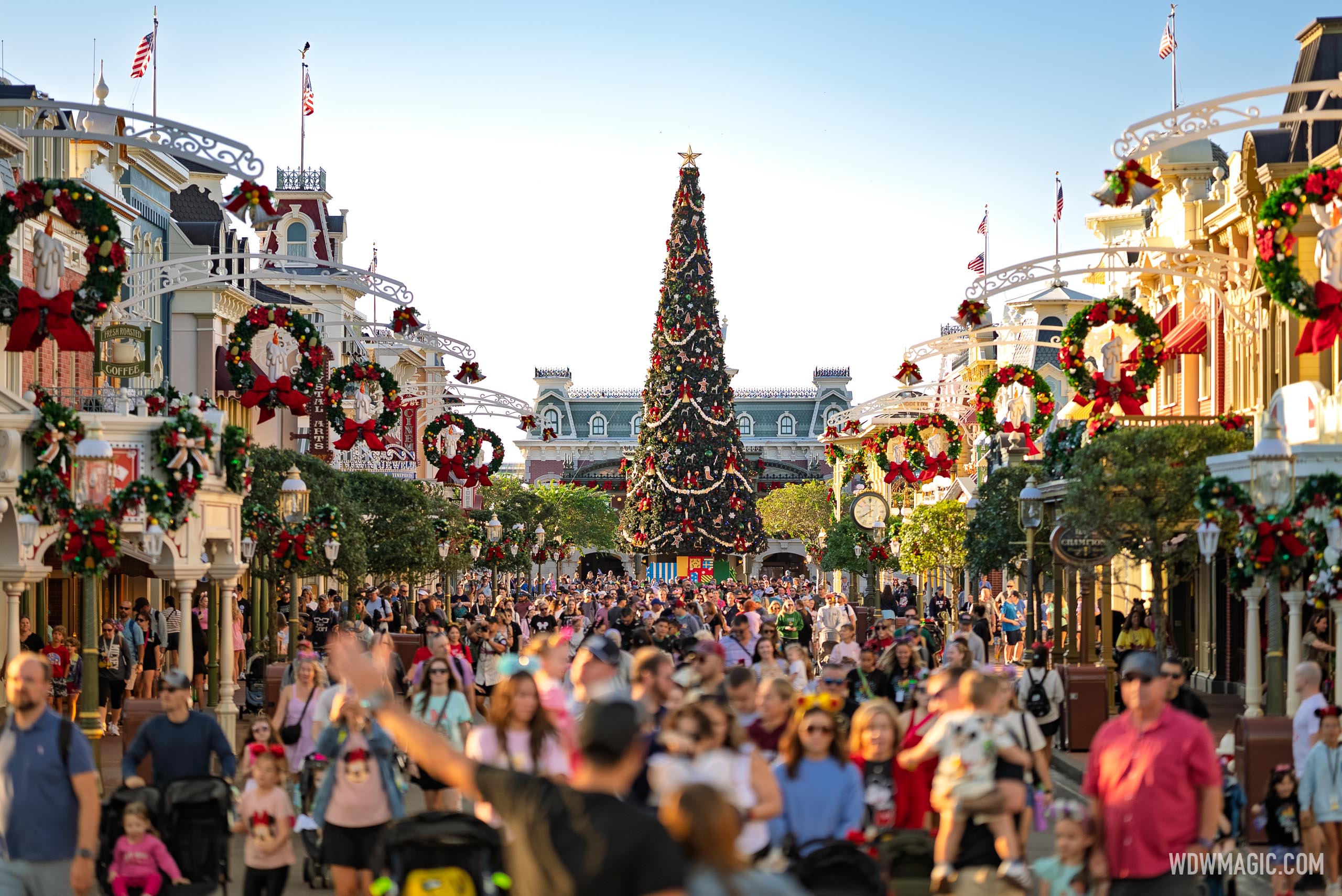 Christmas Tree Arrives at Magic Kingdom as Disney World Enters the Holiday Season