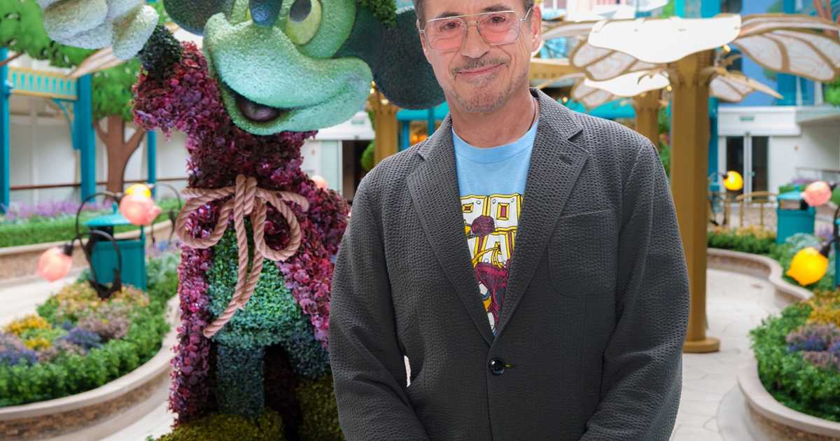 Robert Downey Jr. Named Disney Adventure Godparent