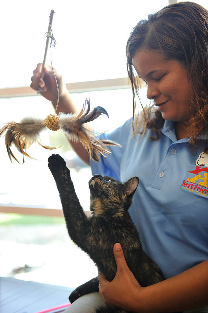 Best Friends Opens Luxury Pet Resort at Walt Disney World Resort