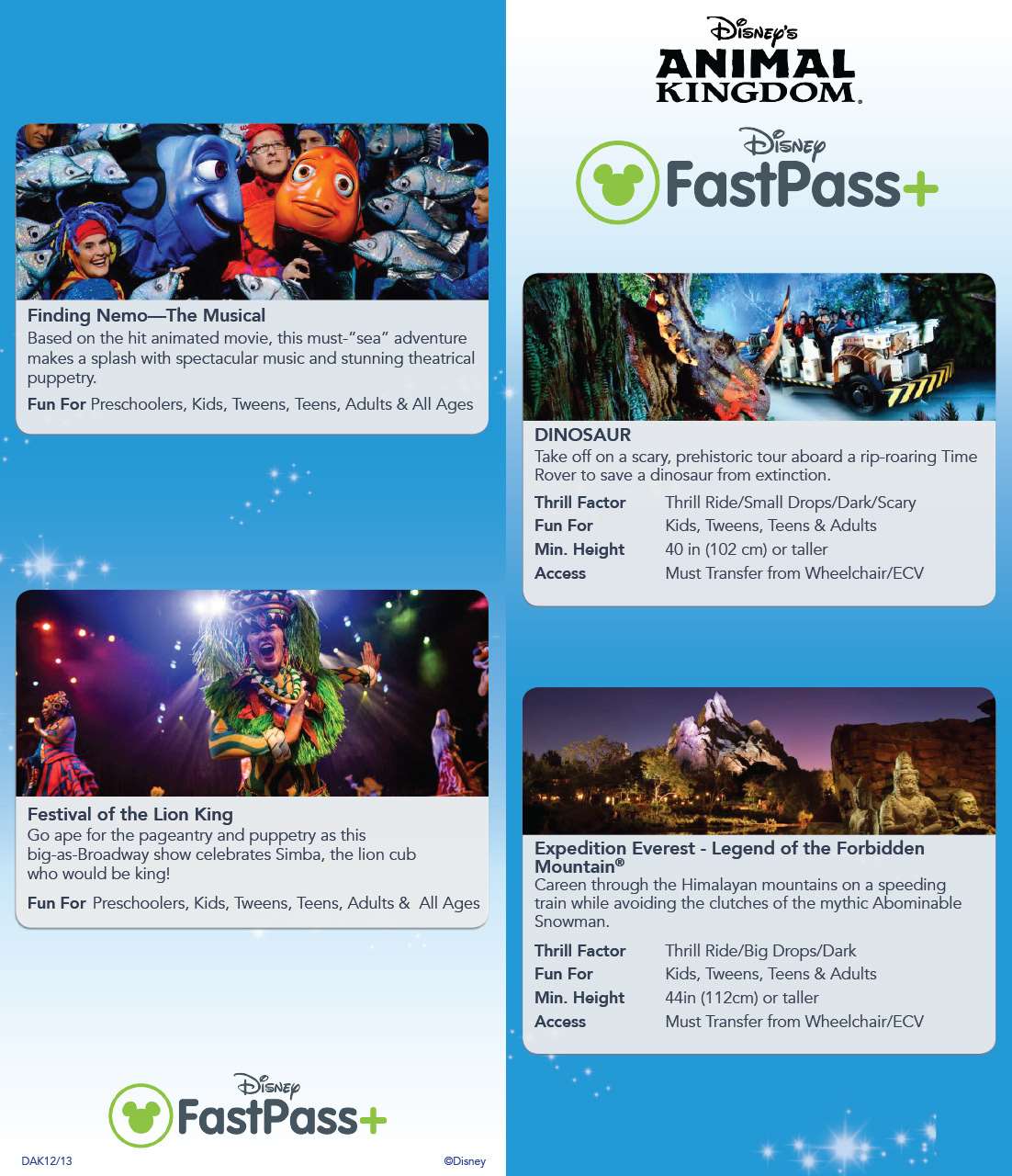 Fastpass Flyers For Non Resort Guests Photo 3 Of 4