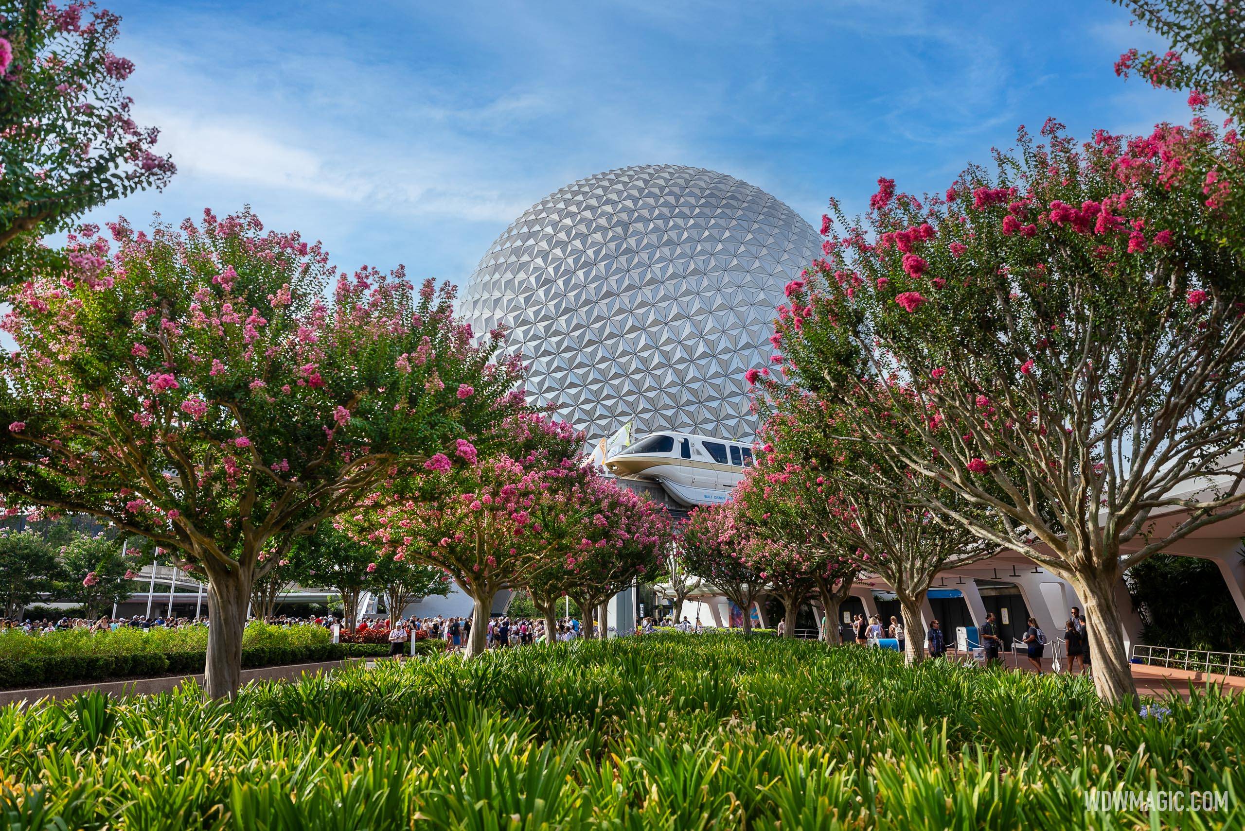 www.wdwmagic.com