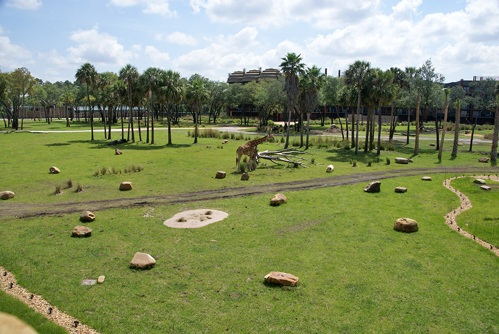 Kidani Village Sunset Savannah overlook - Photo 4 of 6