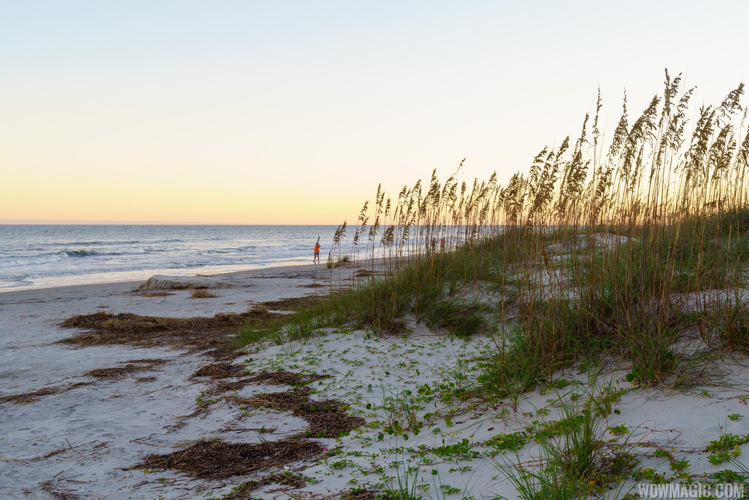 Disneys Hilton Head Island Resort Beach House At Palmetto Dunes Beach Park Photo 18 Of 20