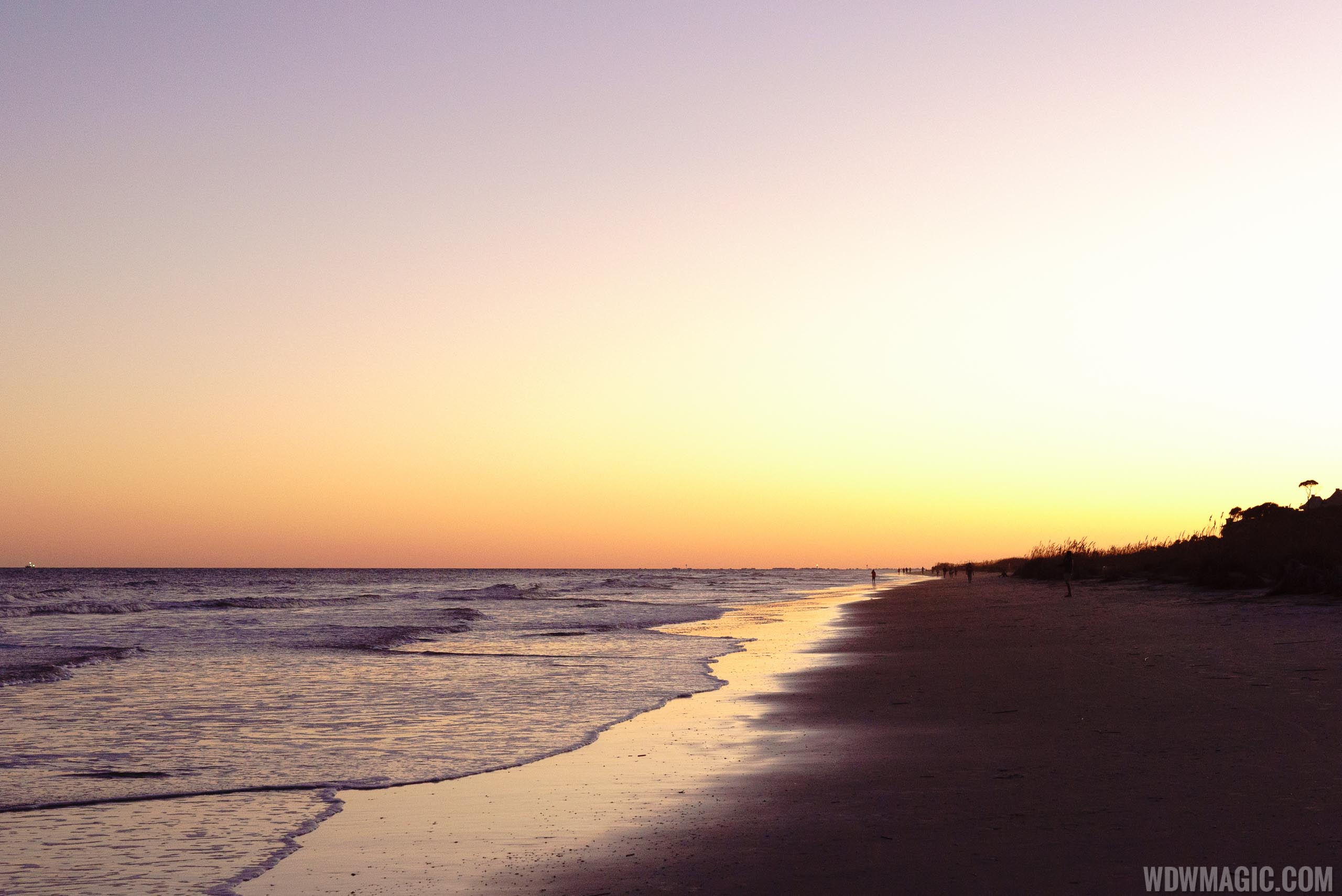 Palmetto Dunes Webcam - xjiunzl