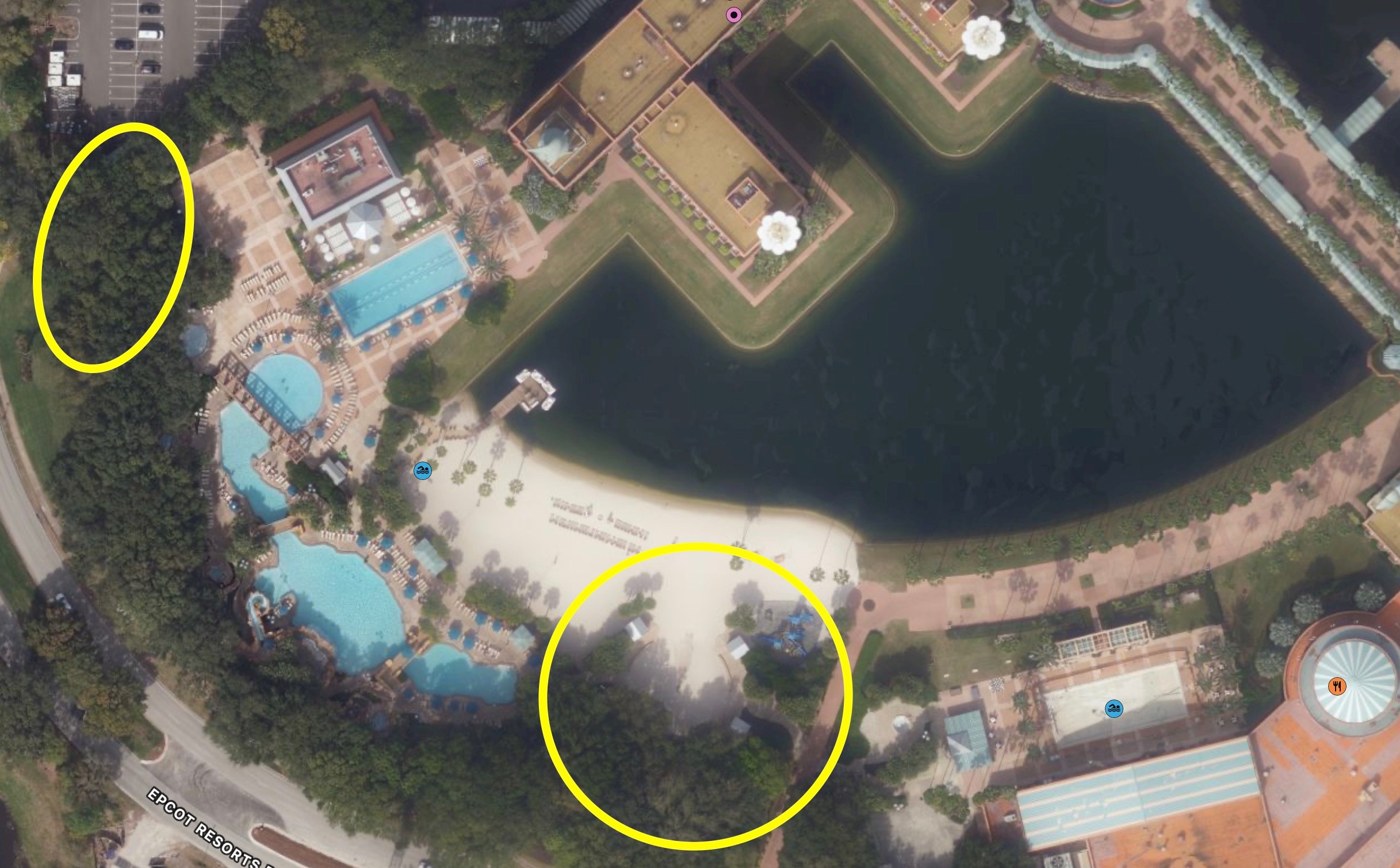 Walt Disney World Swan and Dolphin files permit to greatly expand its pool and recreation area