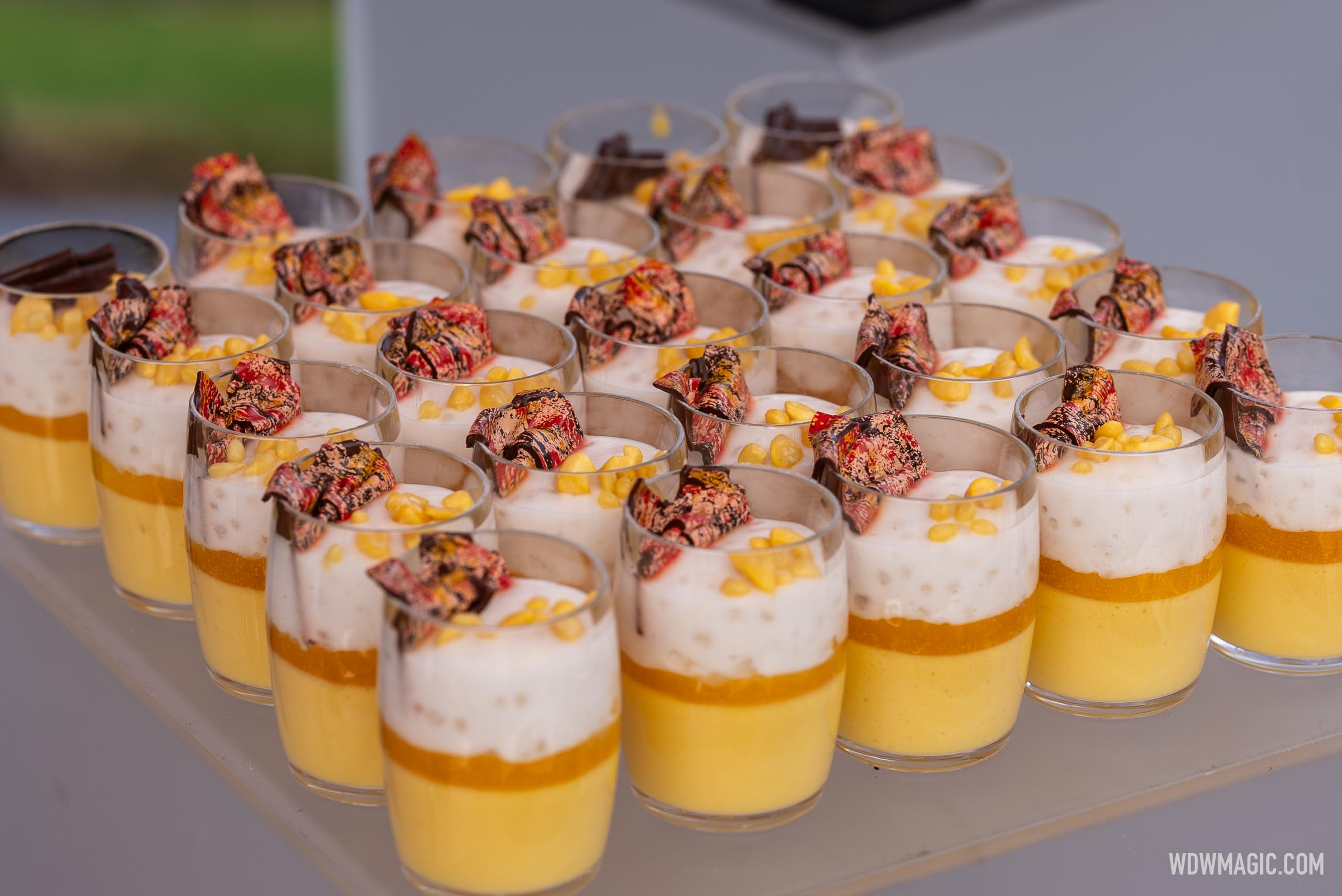 2024 Walt Disney World Swan and Dolphin Food and Wine Classic Preview