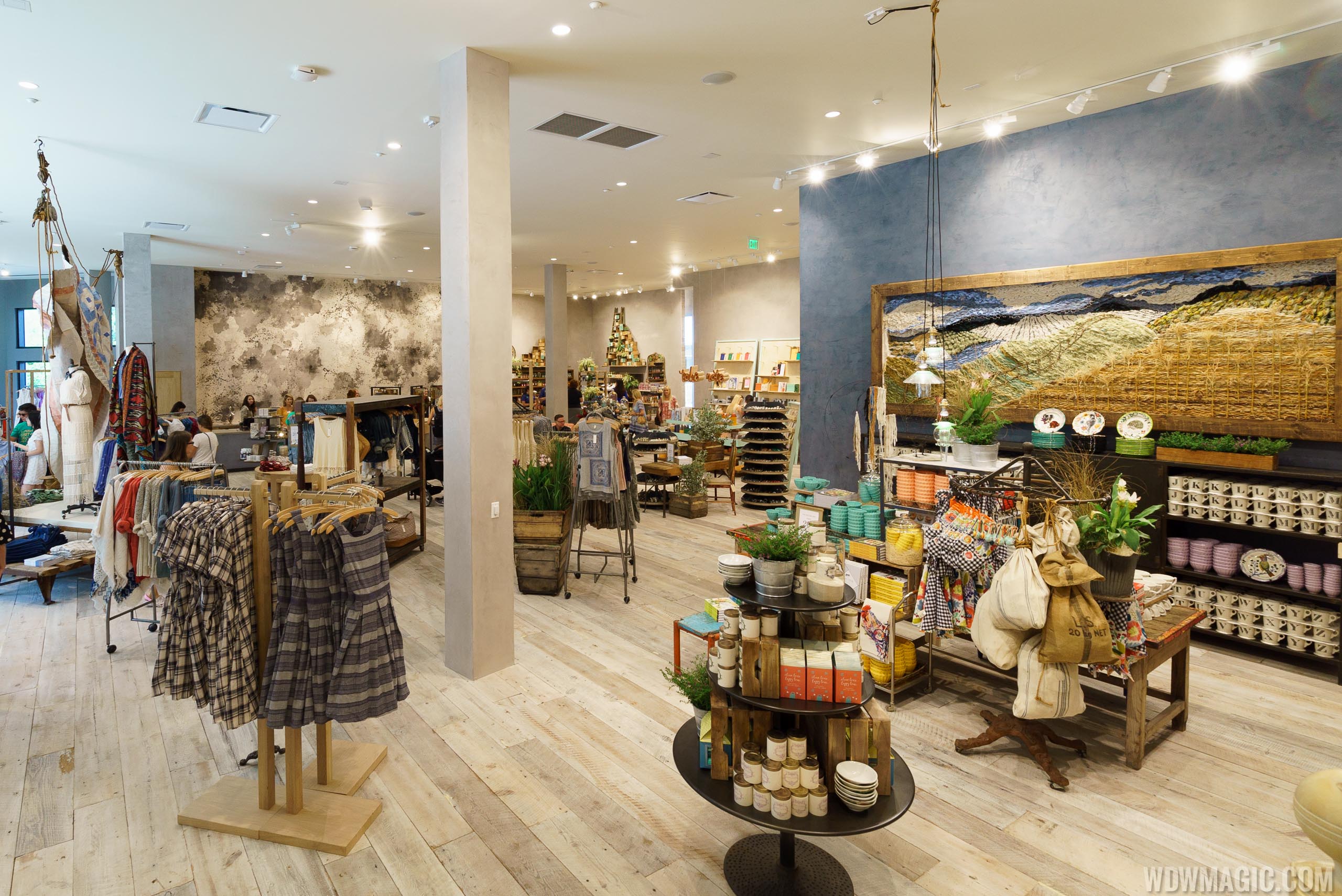 Anthropologie anthropologie