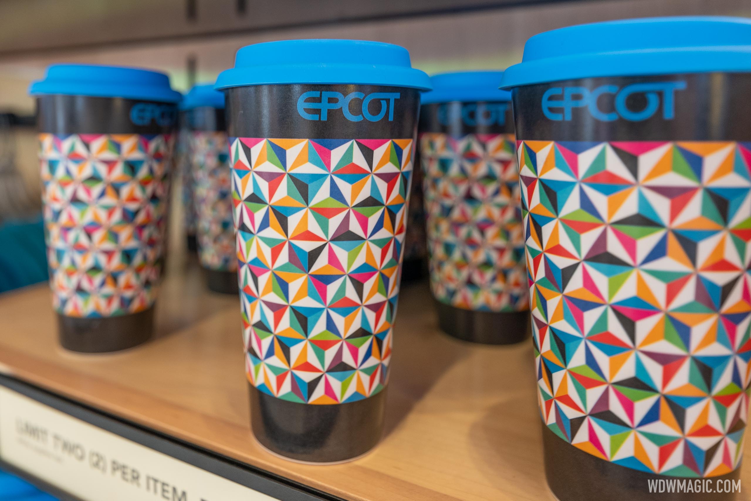 EPCOT Light & Color Collection - Photo 19 of 23