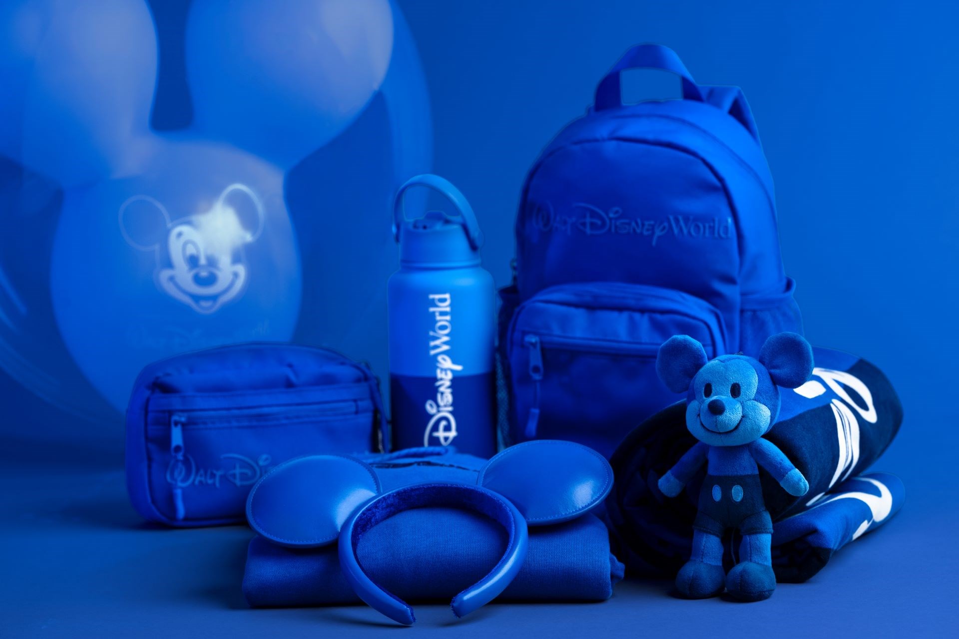 Disney Parks Logo Mania: Every Color, Every Collection - Photo 7 of 38