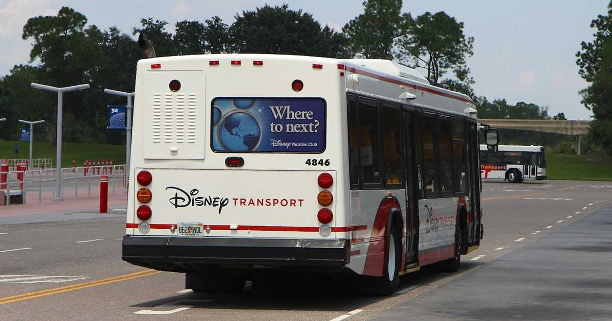 2013 Walt Disney World bus fleet color scheme - Photo 6 of 9