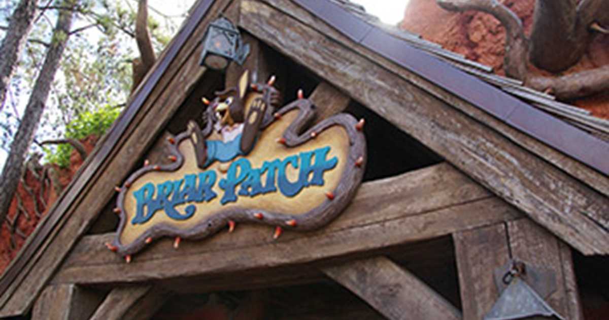 Briar Patch