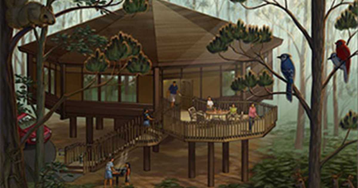 Treehouse Villas At Disneys Saratoga Springs Resort And Spa